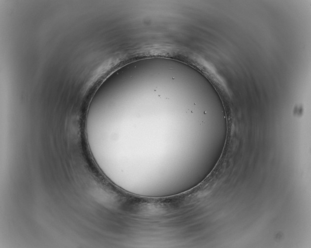 X0000090420250200707272116