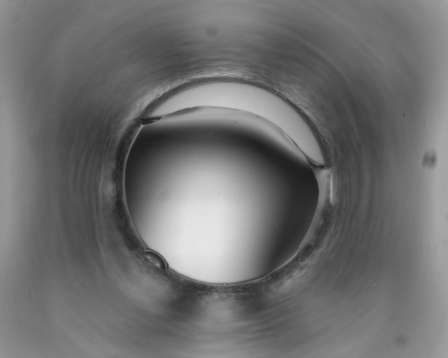 X0000090420252200707272116