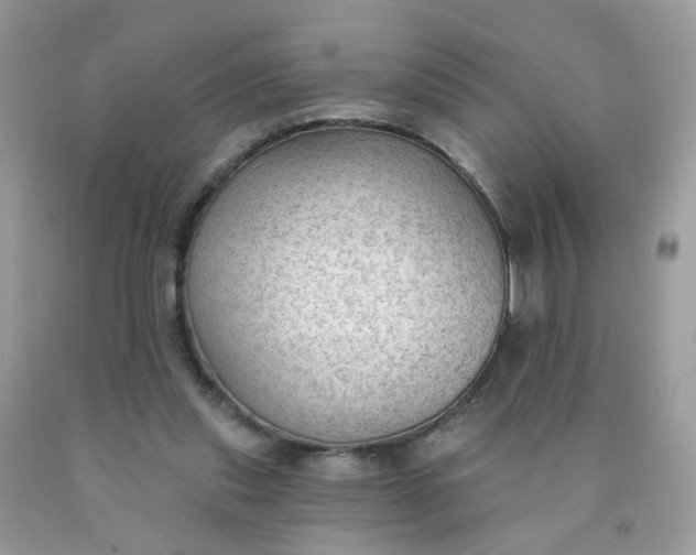 X0000090420253200707272116