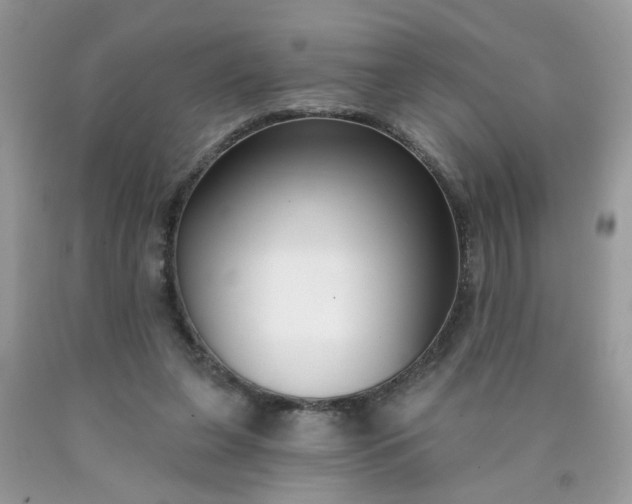 X0000090420255200707272116