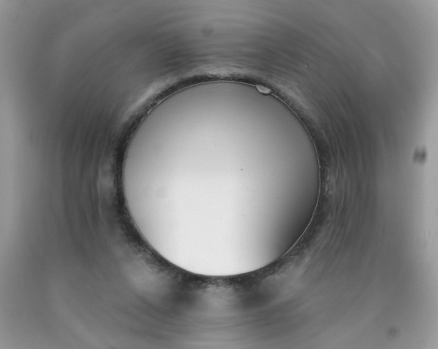 X0000090420256200707272116