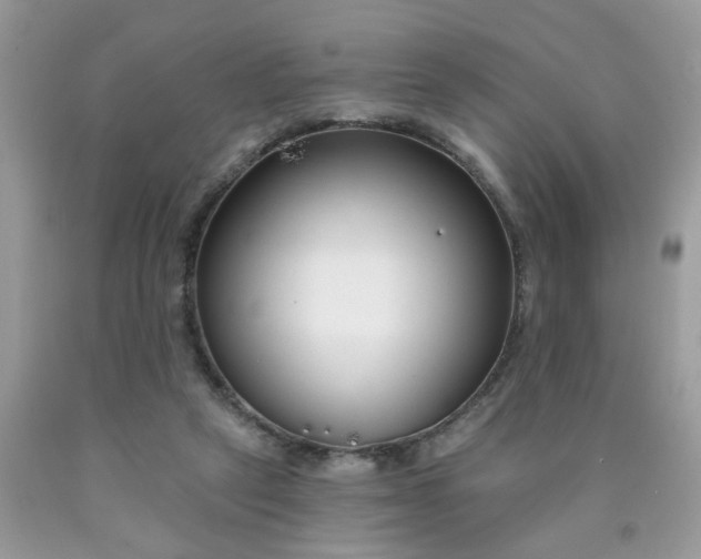 X0000090420257200707272116