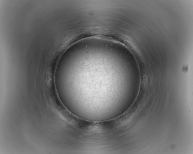 X0000090420259200707272116