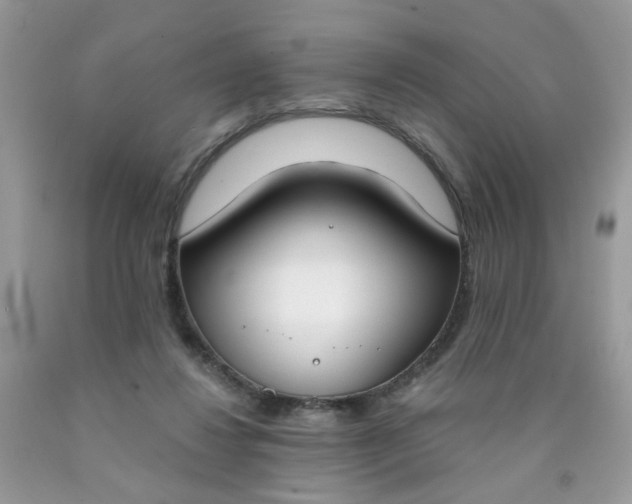 X0000090420260200707272116