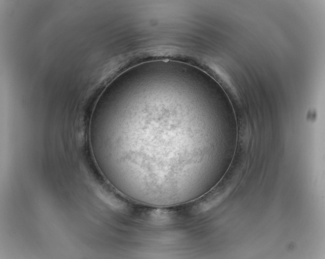 X0000090420261200707272116