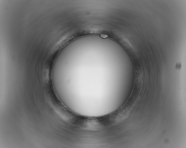 X0000090420262200707272116