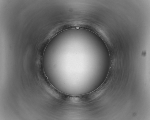 X0000090420265200707272116