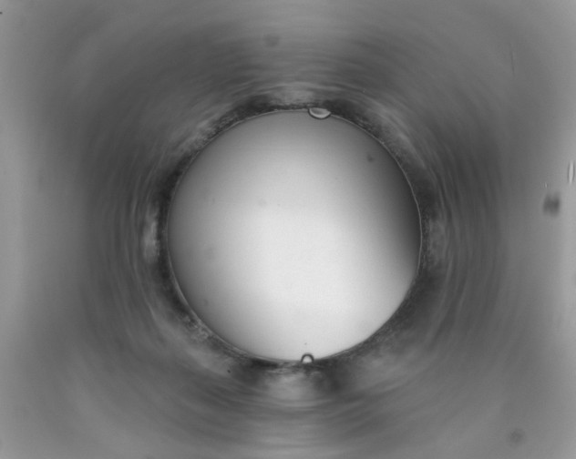 X0000090420267200707272117