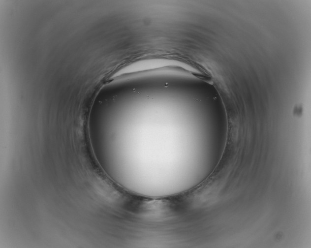 X0000090420269200707272117