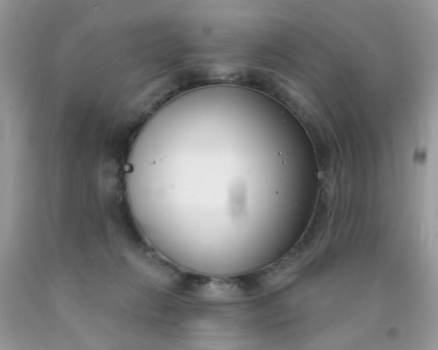 X0000090420270200707272117