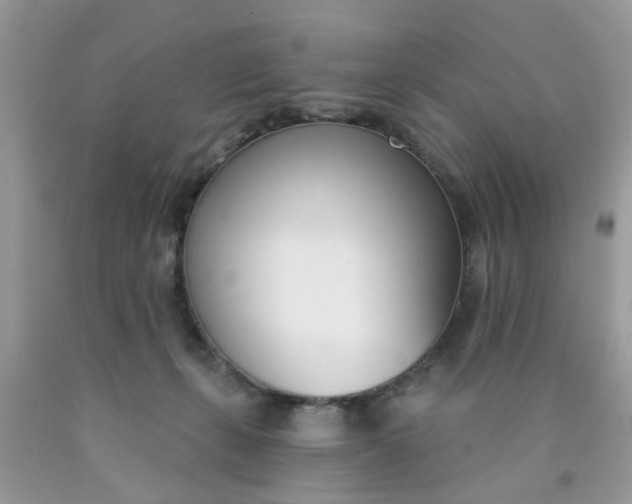 X0000090420271200707272117