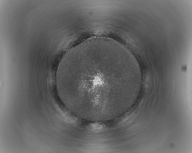 X0000090420272200707272117