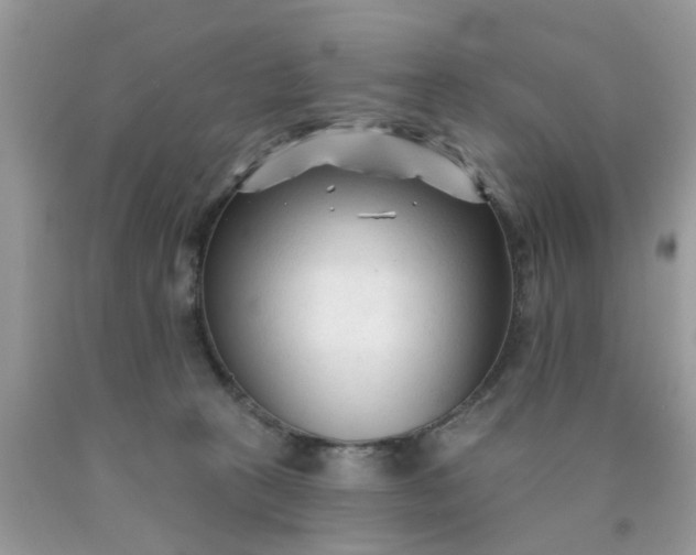 X0000090420273200707272117