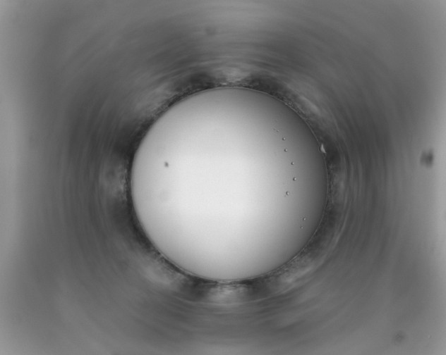 X0000090420274200707272117