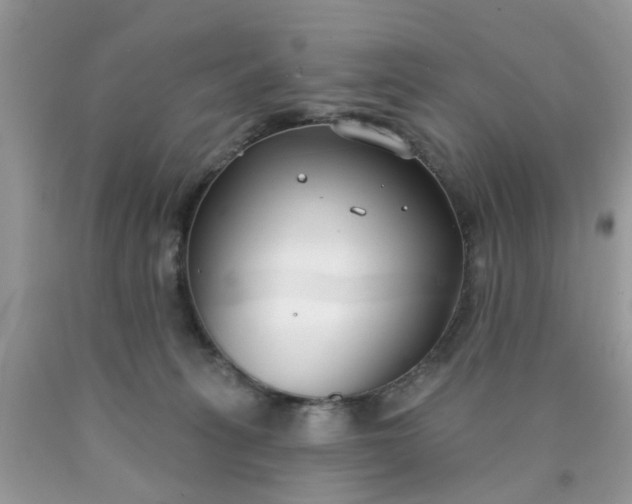 X0000090420275200707272117