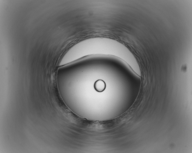 X0000090420276200707272117