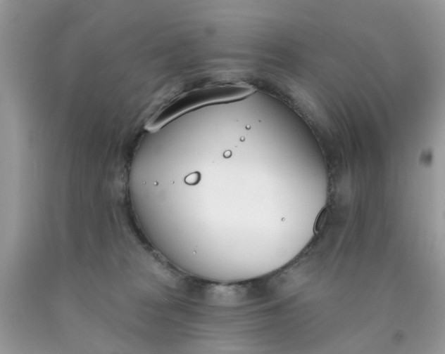 X0000090420277200707272117