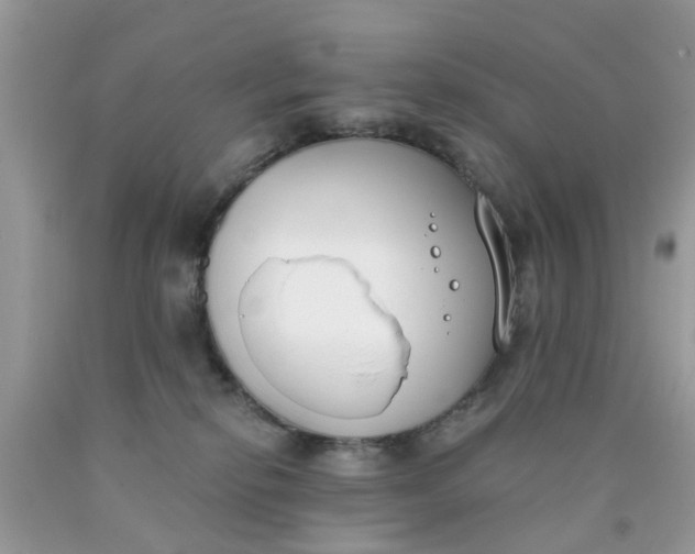 X0000090420278200707272117