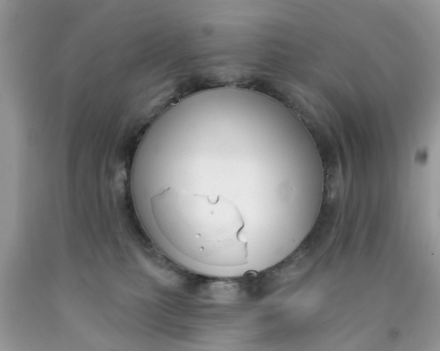 X0000090420279200707272117