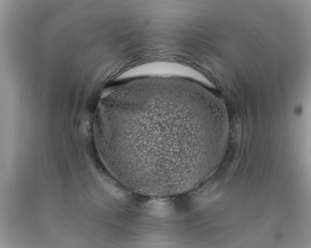 X0000090420280200707272117