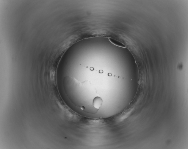 X0000090420281200707272117