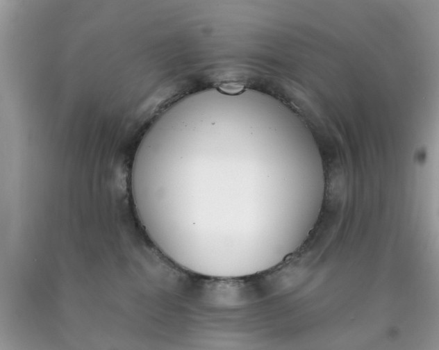 X0000090420282200707272117