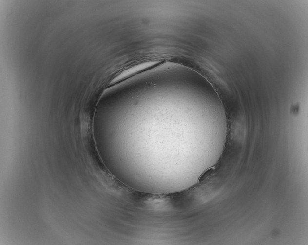 X0000090420283200707272117