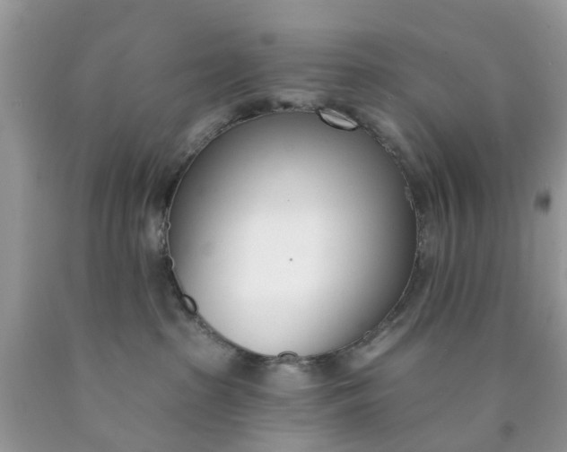 X0000090420285200707272117