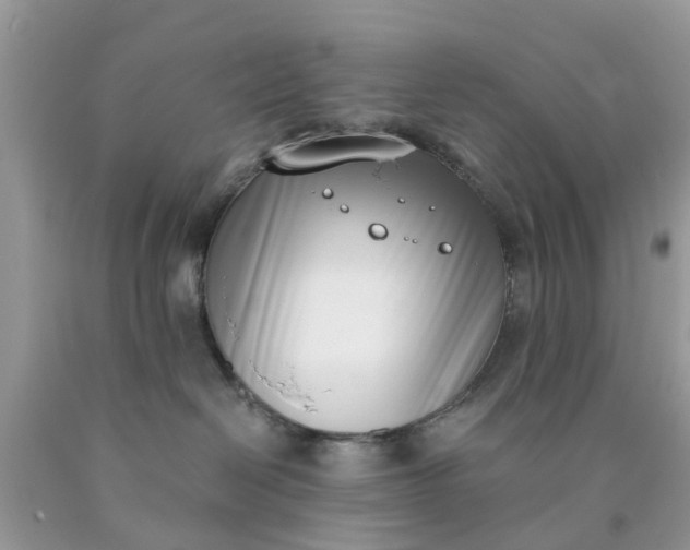 X0000090420286200707272117