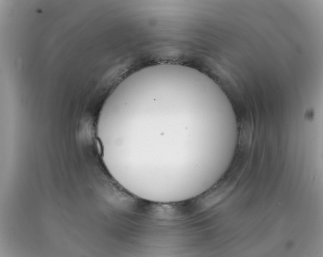 X0000090420287200707272117