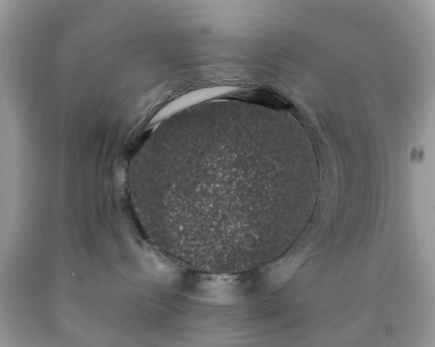 X0000090420288200707272117