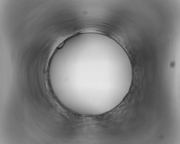 X0000090420289200707272116