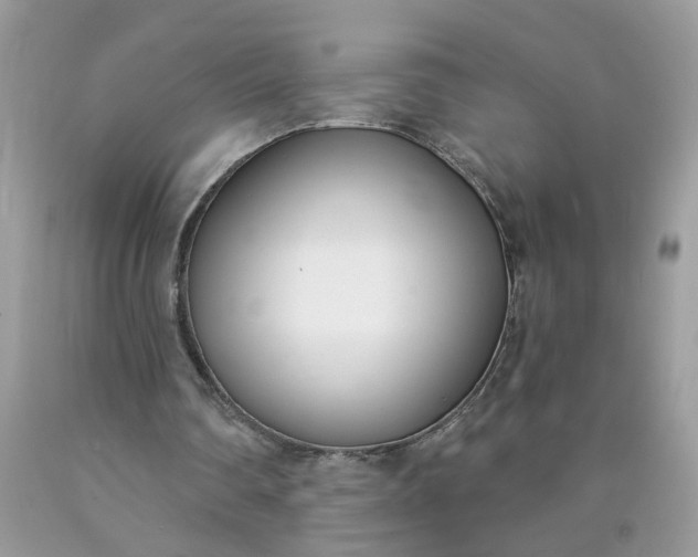 X0000090420290200707272116