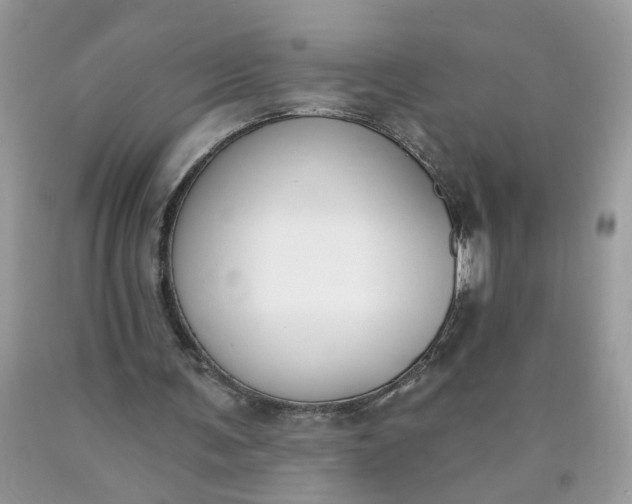 X0000090420291200707272116