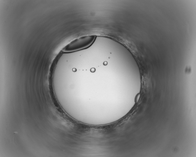 X0000090420292200707272116