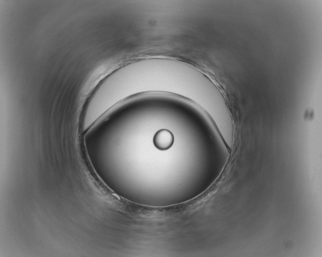 X0000090420293200707272116