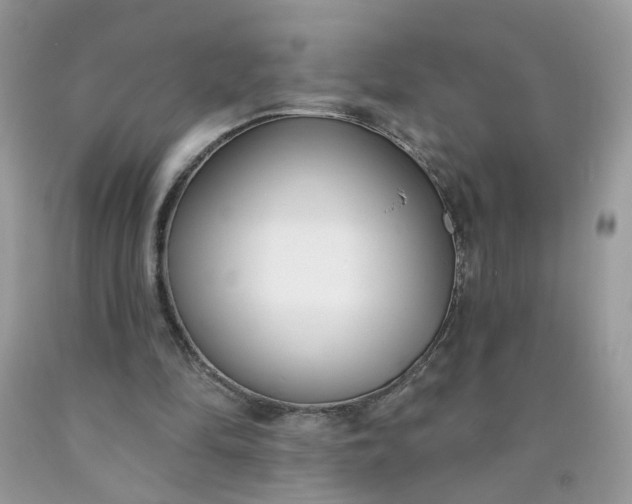 X0000090420294200707272116