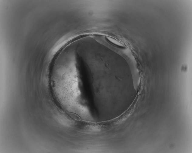 X0000090420295200707272116