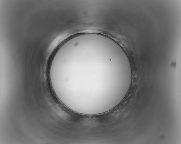 X0000090420296200707272116