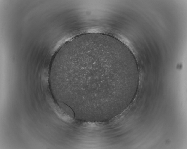 X0000090420297200707272116