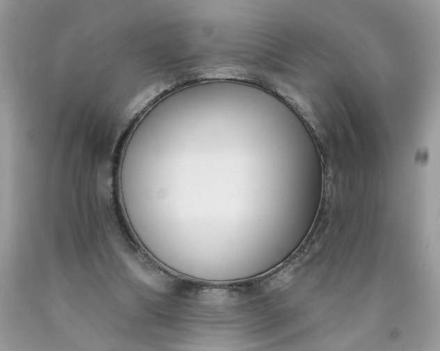 X0000090420298200707272116