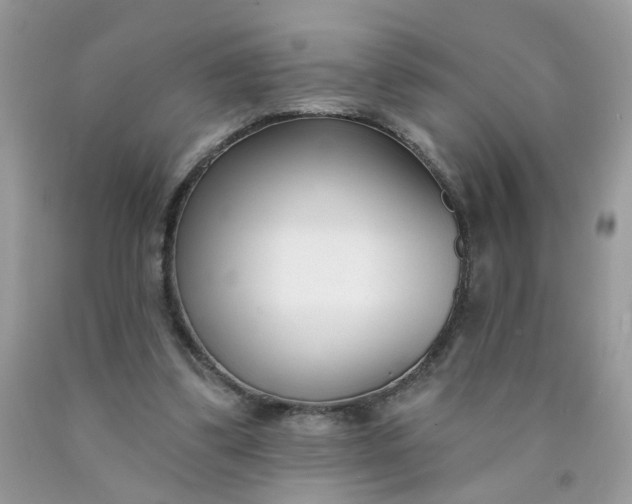 X0000090420299200707272116