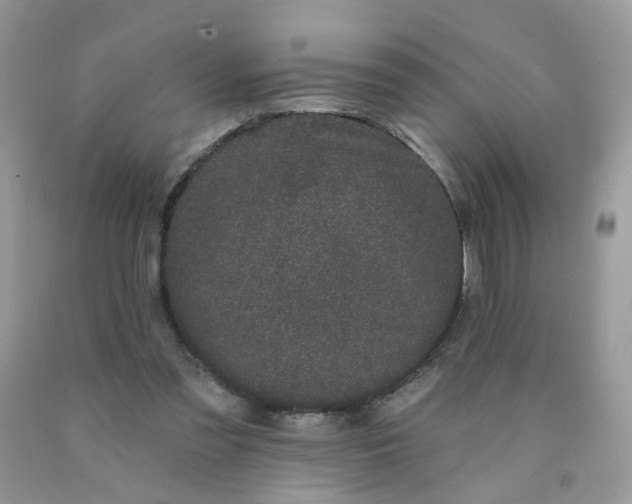 X0000090420301200707272116