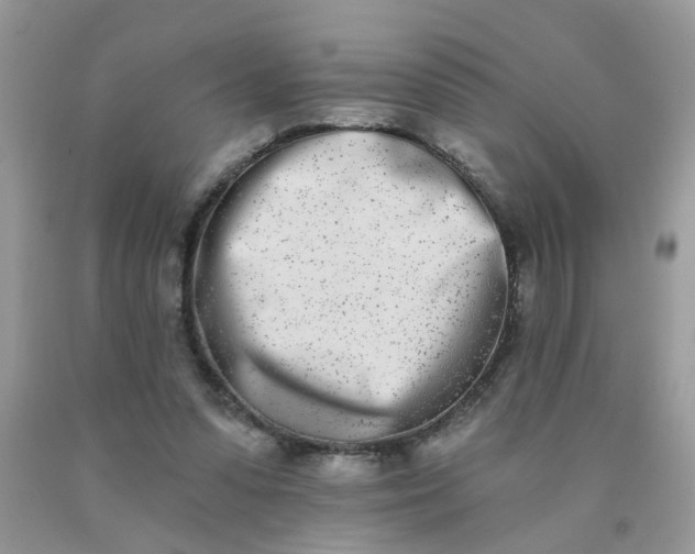 X0000090420303200707272116