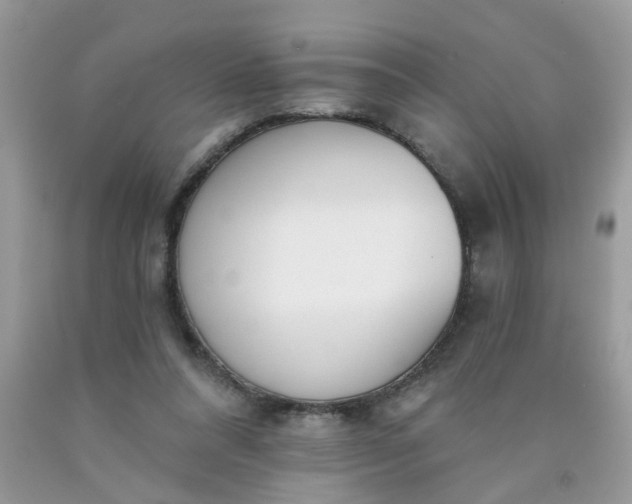 X0000090420304200707272116