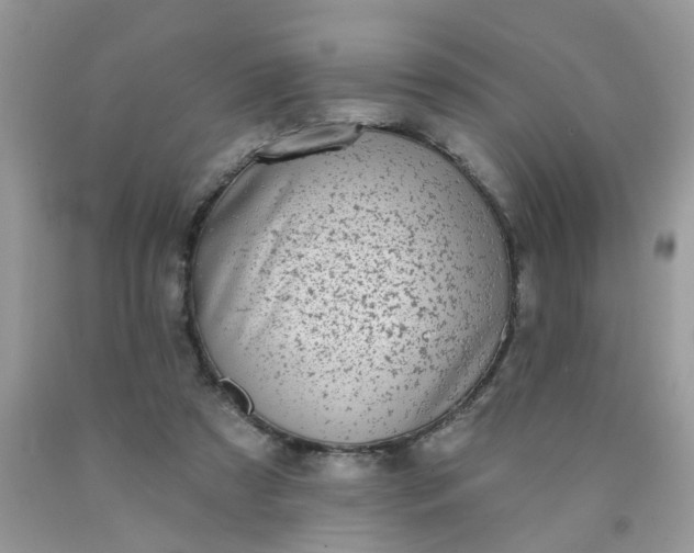 X0000090420305200707272116