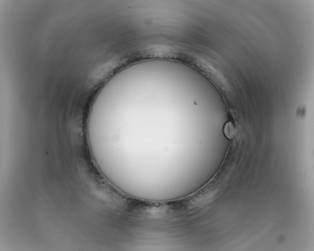 X0000090420306200707272116