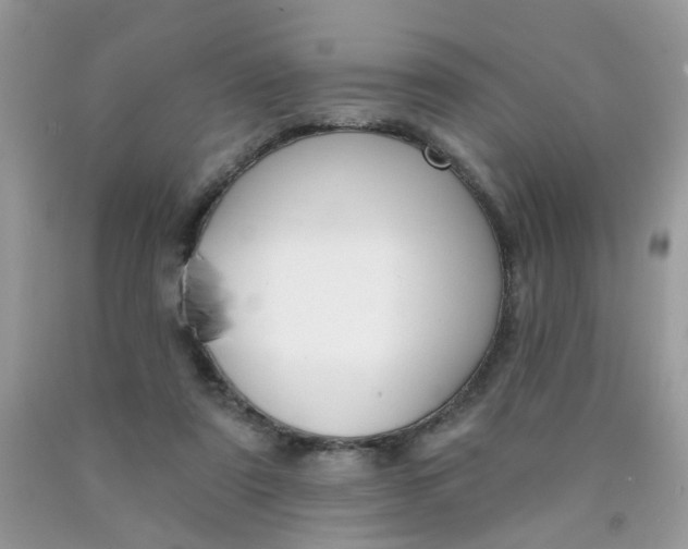 X0000090420307200707272116