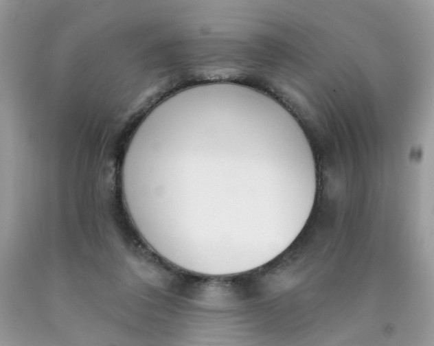 X0000090420308200707272116