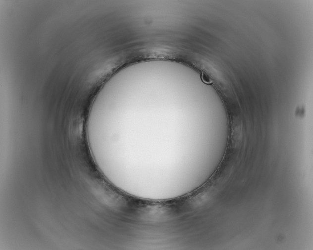 X0000090420310200707272116